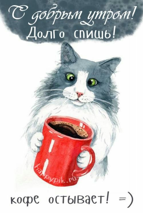 55;17139041 долго спишь! Кофё  остывает!