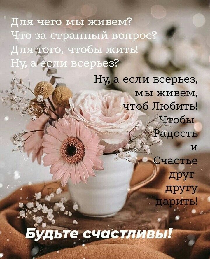 если всерьез мы живем чтф Любить