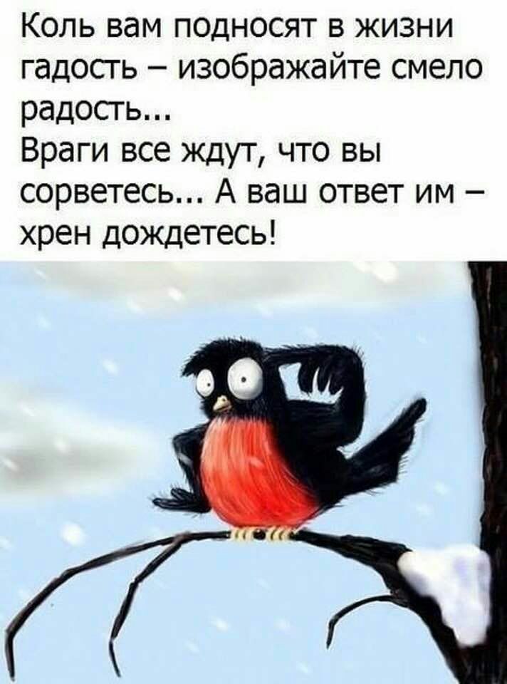 Коль вам п0дносят в жизни гадость изображайте смело радость Враги все ждут что вы сорветесь А ваш ответ им хрен дождетесь