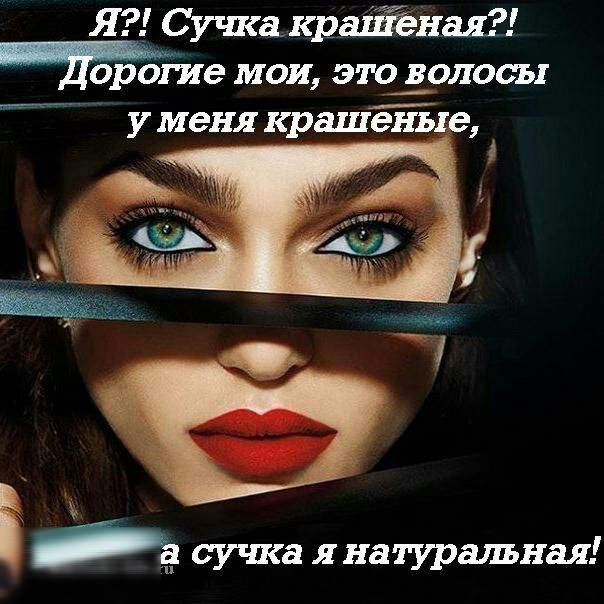 Я Сучка идейная дорогие МОИ 31030110051 у меня крашеные