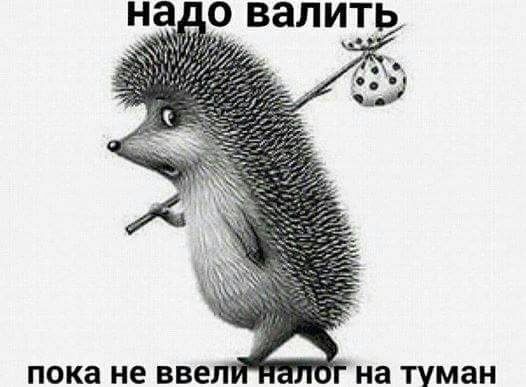 пока не 556 на туман