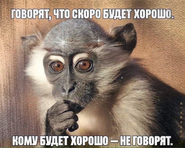 пошіидіт хорошиэъніпсііот