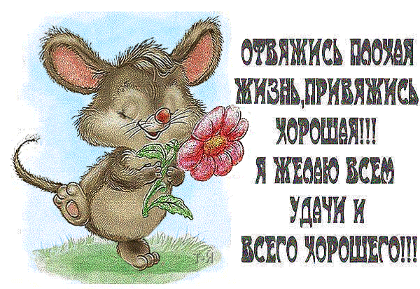 БЖЖ ЖИЗНЬРИБЯЖШ ХОРОШАЯ ЖЕОАЕО БОШ УДАЧИ ВСЕГО ХОРОШЕГО