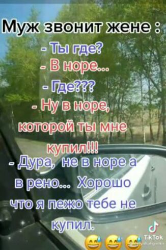 звенит