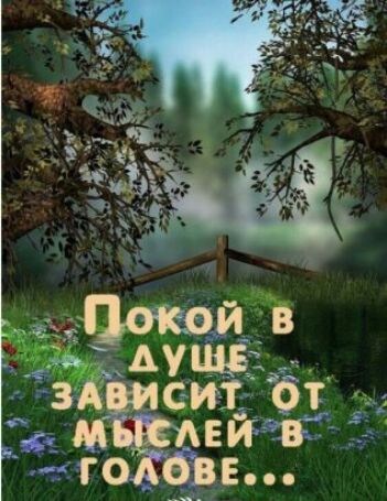 Цокой в АУЩЁ _ сей О 635