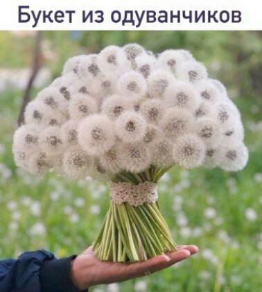 Букет из одуванчиков