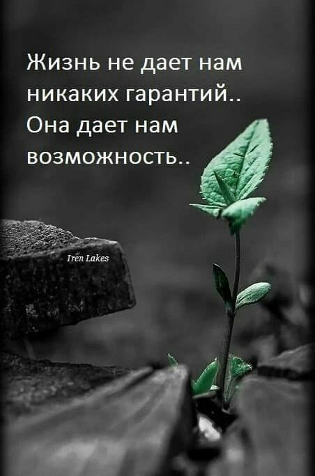 Жизнь не дает нам никаких гарантий Она дает нам возможность И ЧЁ с