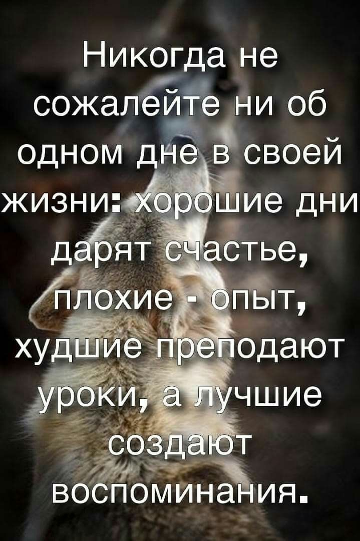 Никогда не сожапёЁЁе Ни об одном дне эсвоей