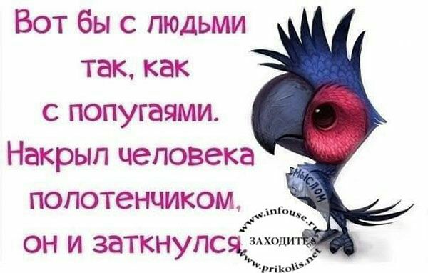 Вот бы с людьми так как с попугаями Накрып человека попотенчиком он и заткнупсяЁхшт гі мы