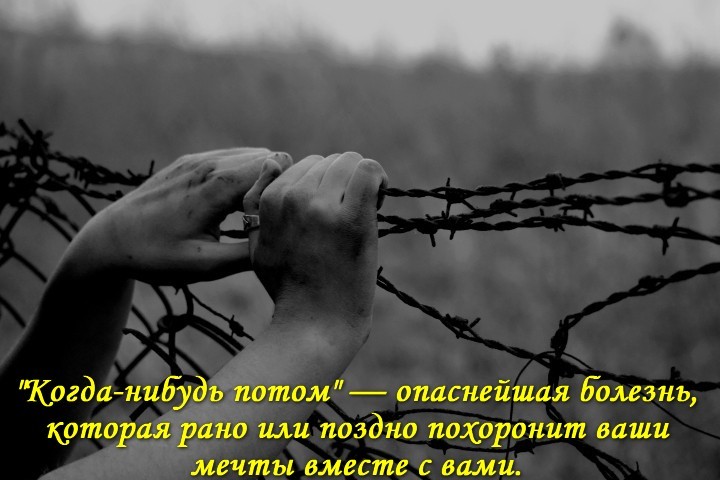 мечты вместе С вами