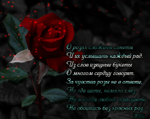 Ородщ шим шнгпы Птуслшшдтп кадддыйрад П мов ищлш букеты _ _ Ё О многим сердцу говорят і За чувства роды не в отвгтй 740 570 ты нп 1 т и ч юЦ грдыувтпа Не ибшітисг 623 Ардсныхроі
