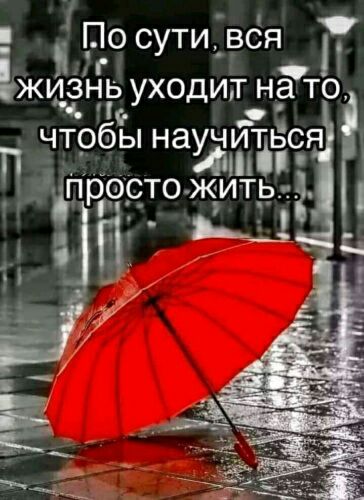 Посути вся ья жён ь уходит н_а то чтобы научйіёс Я П р0__с_то жит