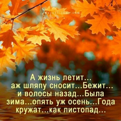 іж гтетит сит Бежит ЙЁво осы назад Быпа зима опять уж осень Года кружаткак листопад