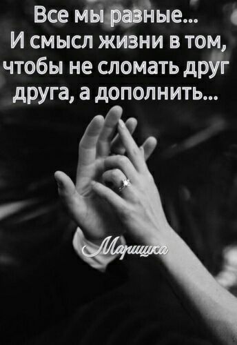 Все мётые И смысл жизни в том чтобы не сломать др друга а дополнить