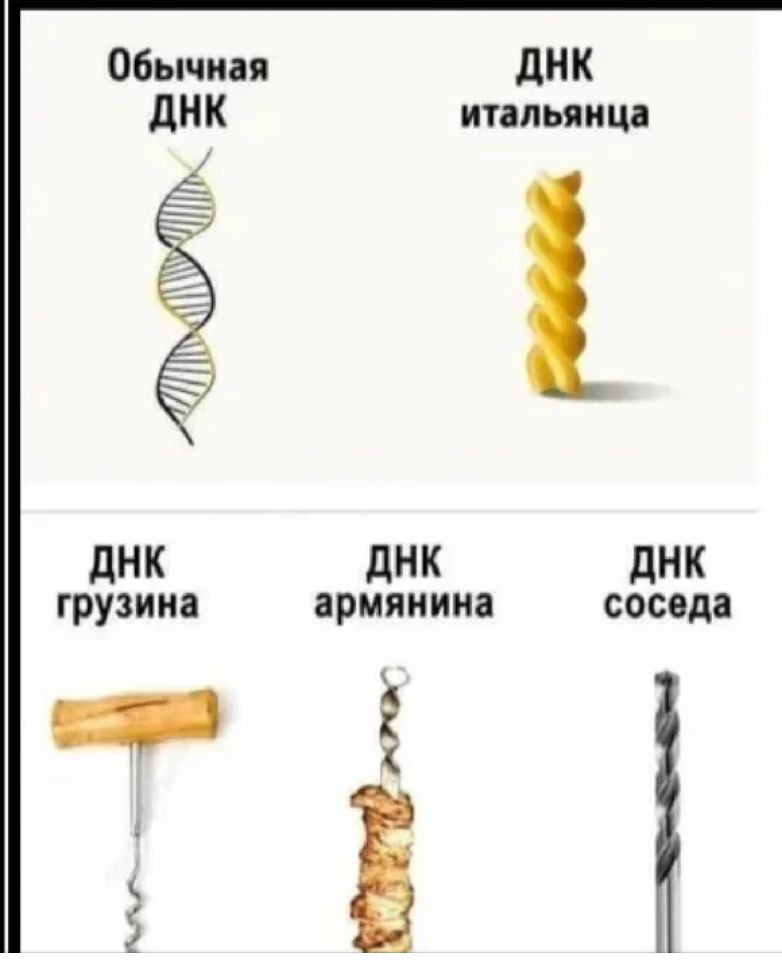 Обычная Ш Ш итальянца дНК дНК дНК грузина армянина соседа З Е жд _