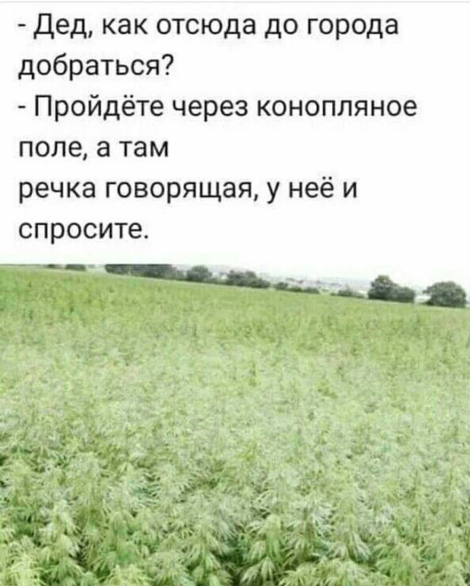 Дед как отсюда до города добраться Пройдёте через конопляное поле а там речка говорящая у неё и спросите