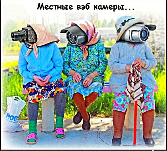 Местные вэб камеры