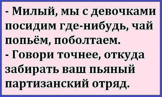 Милый МЫ с девочками посидим гденибудь чай попьёМ поболтаем Говори точнее откуда забирать ваш пьяный партизанский отряд