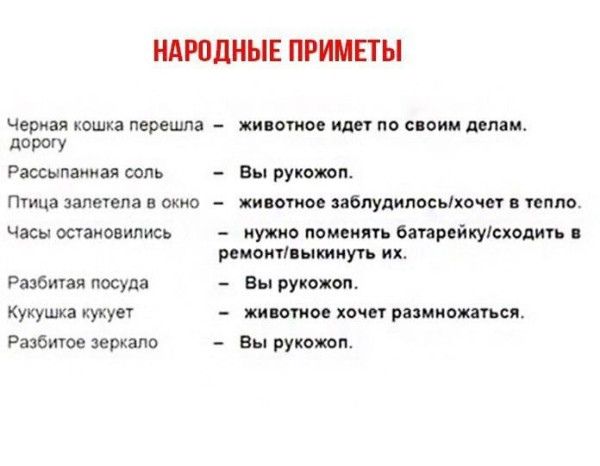 НАРОДНЫЕ ПРИМЕТЫ Чвриая кошка перешла жившим или по спим денги парту Рассыпаииая соль Вы руются ПТИЦЗ ЗЗЛВЕПВ 8 00010 Жиідтое заблудиласьхочет В ТВППО чэсы шаиовились нужно поменять багарейкуісходигь ремпитіпыкииуть их Разбичая посуда Вы рукожоп Кукушка кукуе химики хочет размножаться Разбитое зеркало Вы руков поп