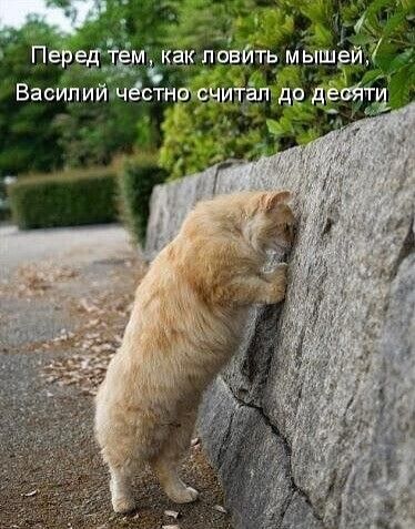 Василий ЧЕСЁФБИ