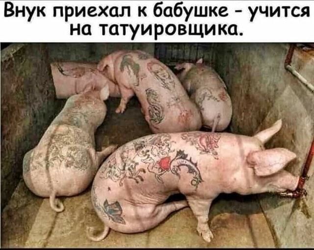 Внук приехал к бабушке учится на татуировщика