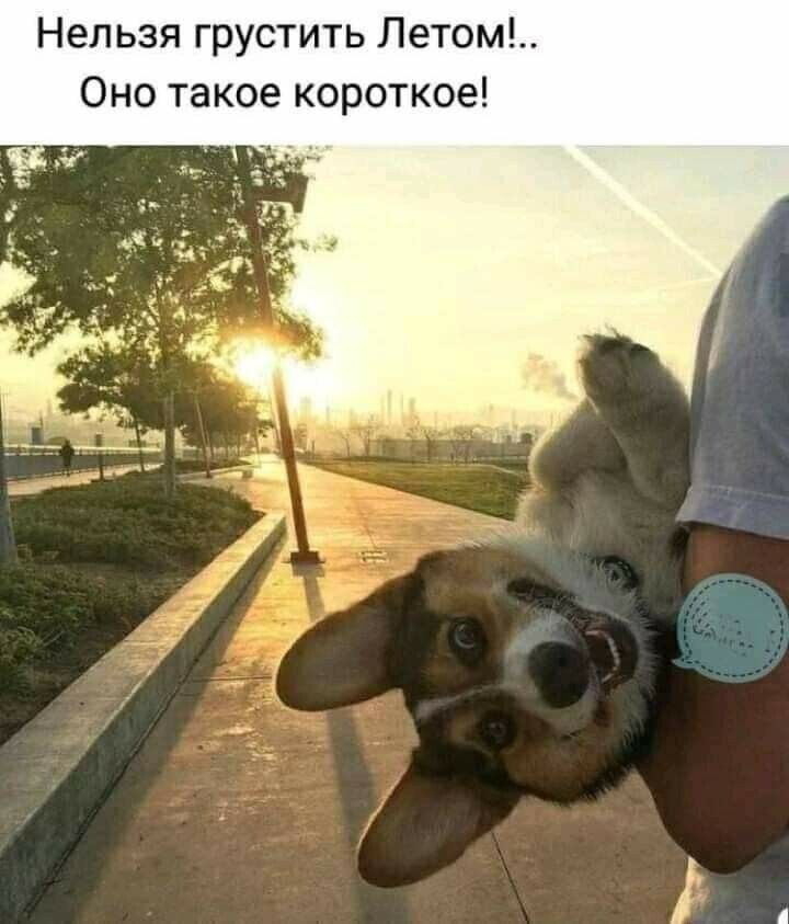 Нельзя грустить Летом Оно такое короткое
