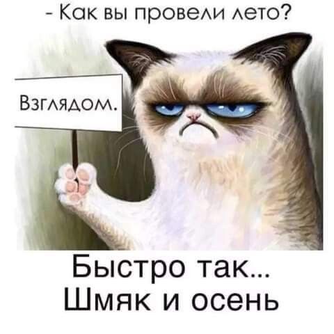 Как вы провехи Аето Быстро так Шмяк и осень