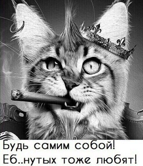 Ебнутых тоже пюбят