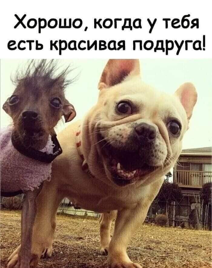 Хорошо когда у тебя есть красивая подруга