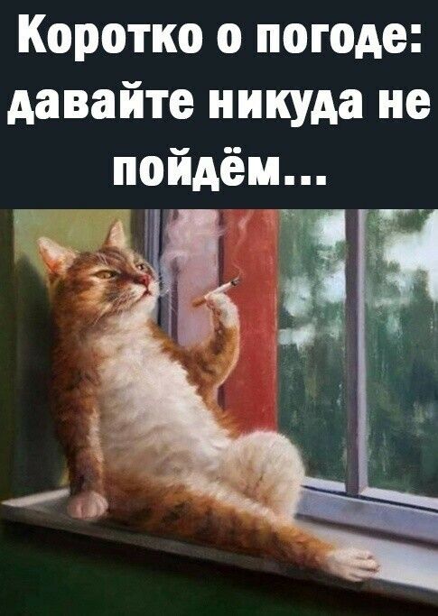 Коротко о погоде давайте никуда не