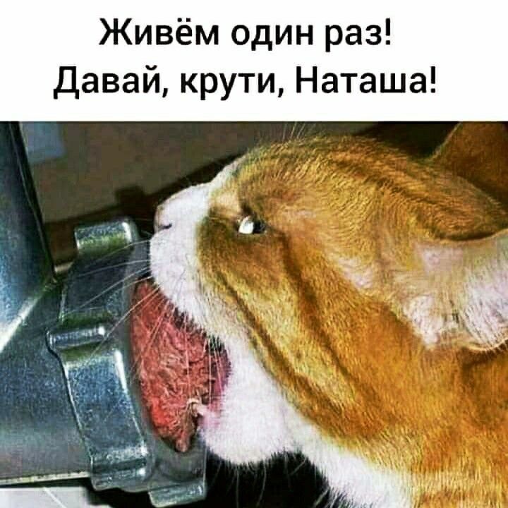 Живём один раз Давай крути Наташа