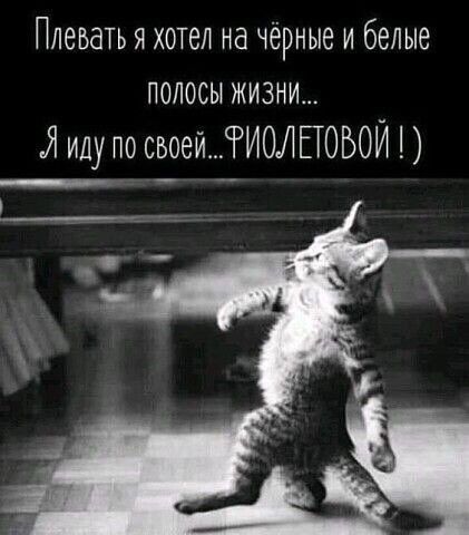 Плеедть я хотел на чёрные и белые полосы жизни Я иду по своейРИОЛЕЮБОЙ