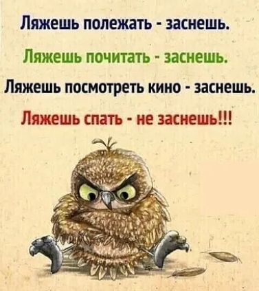 Ляжешь полежать заснешь Ляжешь почитать засиешь Лижешь посмотреть кино заснешь Лтшь спать не заснет