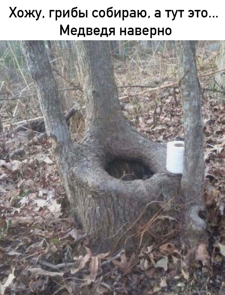 Хожу грибы собираю а тут это