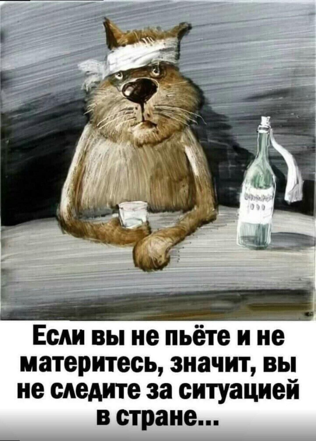 ___ _ Если вы не пьёте и не материтесь значит вы не следите за ситуацией в стране