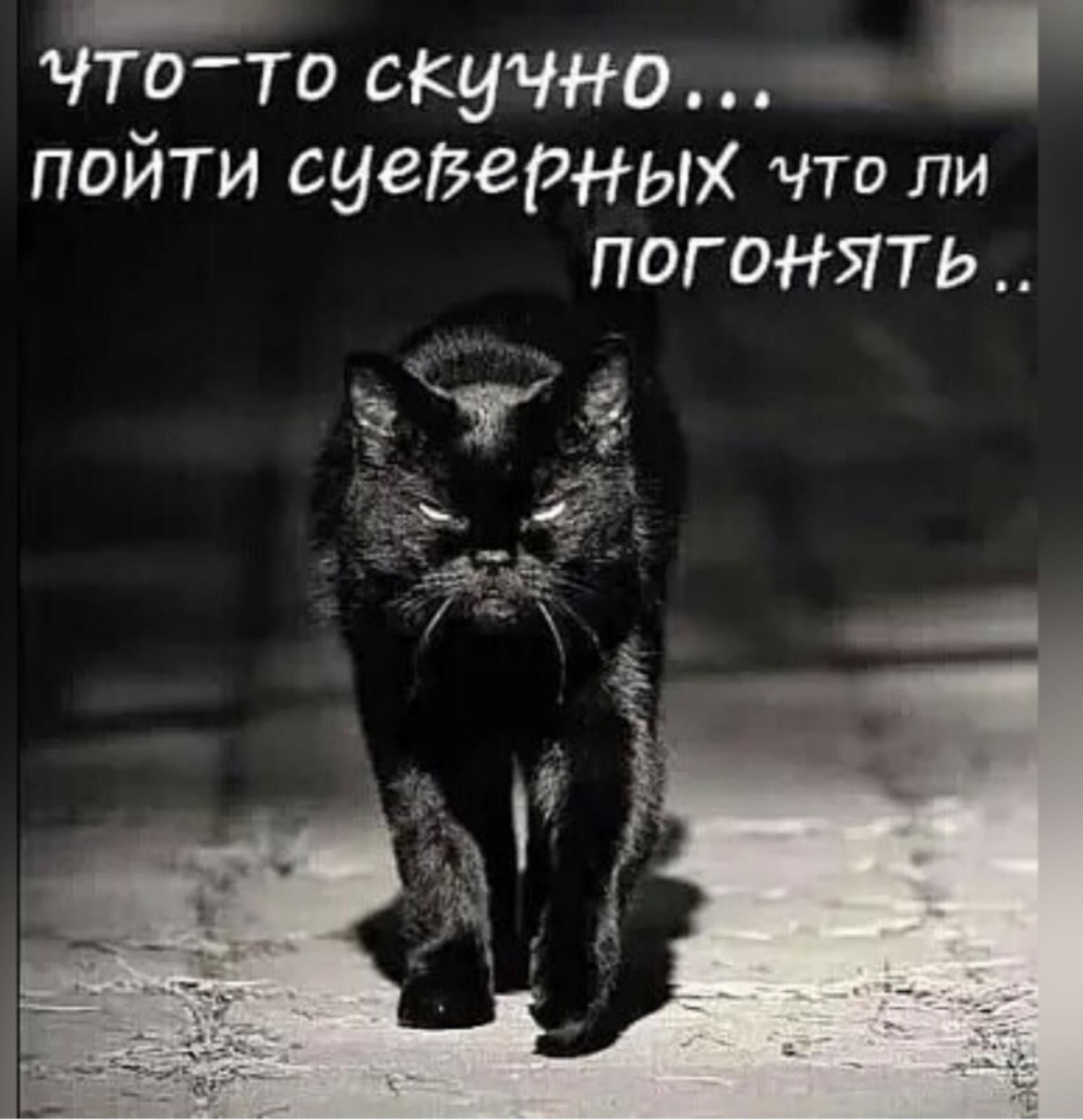 что то скучно пойти сиеЗерных что ли погонять