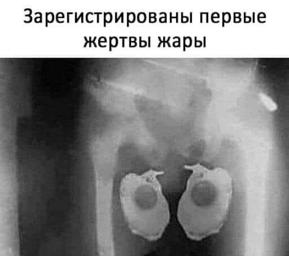 Зарегистрированы первые жертвы жары