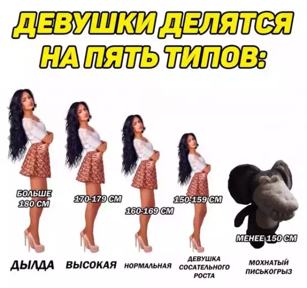дЕВУШКИ делятея ПЯТЬ ТИПФВ е в Больш 180 с ь М дьидА высокля им 5731 гост