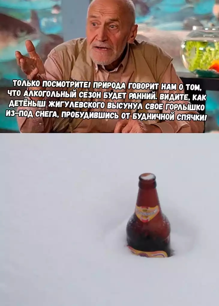 Ц только ПОСМОТРИТЕ ПРИРОДА что Алкогольный сещи а ЖИГУЛЕВСКОГО в СУНУЛ 0305 Г 0РШк0 _ОА СНЕГА ПРОБУАИВШЁСБ 0ТБудничн0и исаячкт и