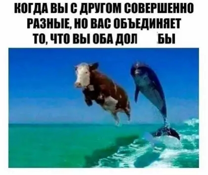 Шідд ВЫ ЛПП БПВЕРШПШШ РАЗНЫЕ ШШ БЪЕДИИПЕТ то что ВЫ БА ШШ БЫ