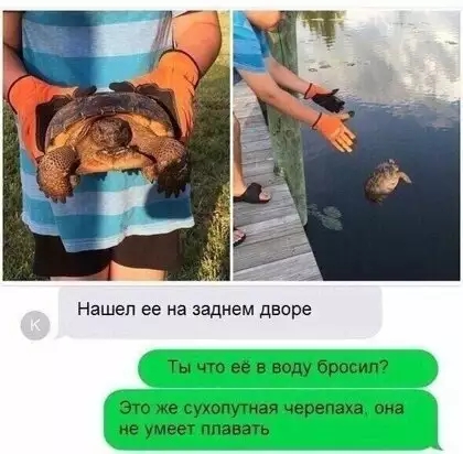 Нашел ее на заднем дворе