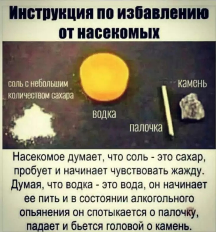 Инстпииция по избавлению от насекомых соль с небольшим камень количеством сахара в водка _Ч ЮЛОЧКЗ Насекомое думает что соль это сахар пробует и начинает чувствовать жажду Думая ЧТО водка ЭТО вода ОН начинает ее ПИТЬ И В СОСТОЯНИИ ЭПКОГОПЬНОГО опьянения ОН спотыкается О палочку п _ает и бьется головой о камень