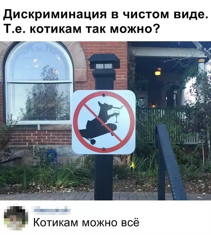 Дискриминация в чистом виде Те котикам так можно Котикам можно всё
