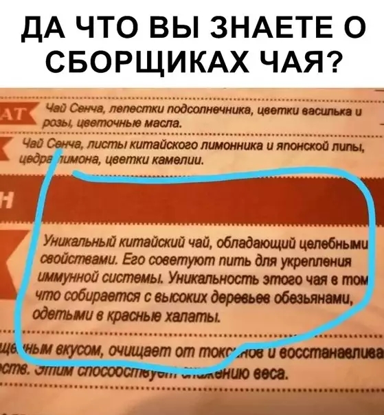 ДА ЧТО ВЫ ЗНАЕТЕ О СБОРЩИКАХ ЧАЯ