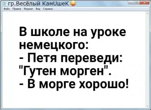 гр весёлый Камишекч и В школе на уроке немецкого Петя переведи Гутен морген В морге хорошо