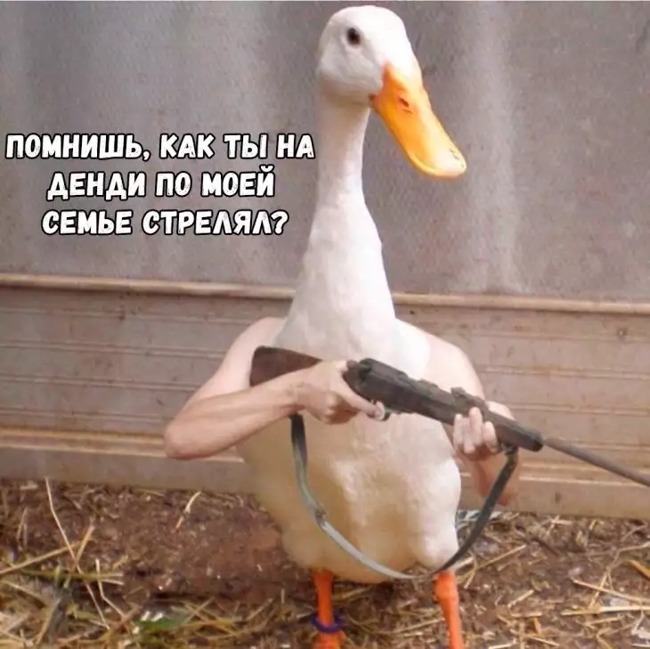 АЕНАИ П0 МОЕИЪ СЕМЬЕ СТРЕАЯА