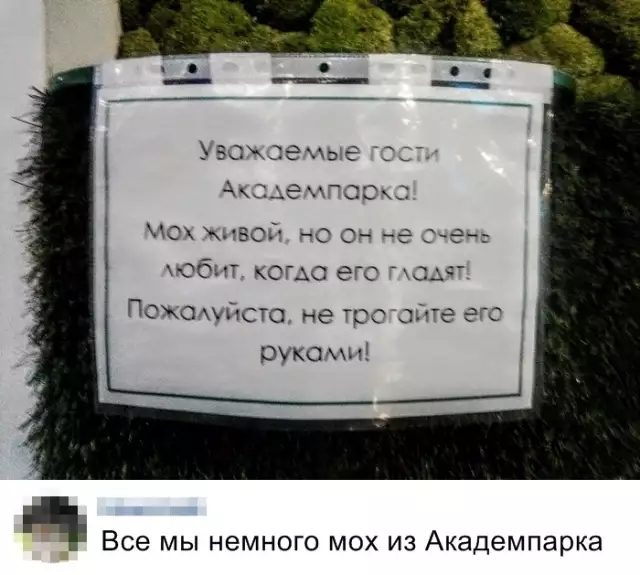 Обпт КСАС его хдд Похо итсто не грс лиге его ОУКОН __Ц Все МЫ НЕМНОГО МОХ ИЗ Академпарка