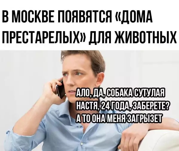 В МОСКВЕ ПОЯВЯТВЯ ДПМА ПРЕВТАРЕЛЫХ ДЛЯ ЖИВОТНЫХ
