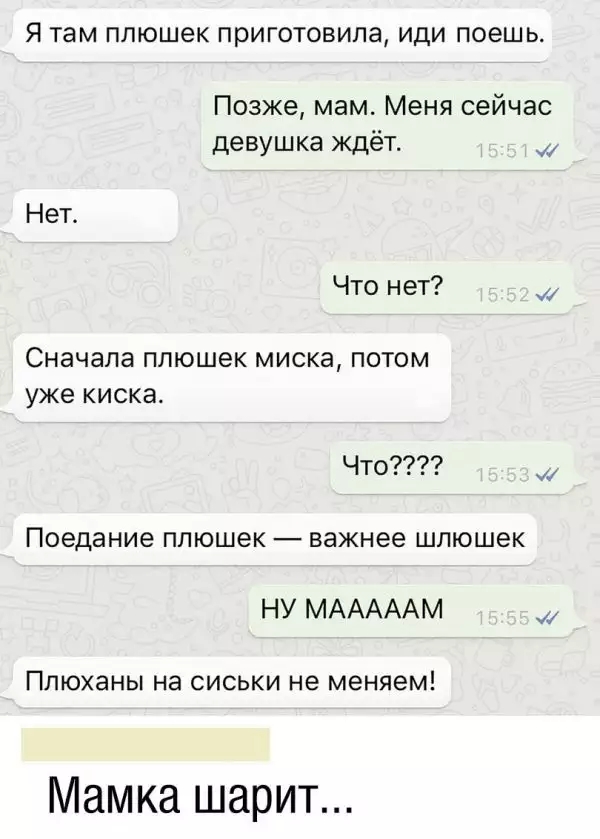 Я там ппюшек приготовила ИДИ ПОЭШЬ Позже мам Меня сейчас девушка ждёт Нет Что нет Сначала плюшек миска ПОТОМ уже КИСКЭ Что Поедание ппюшек важнее шлюшек НУ МАААААМ Ппюханы на сиськи не меняем Мамка шарит