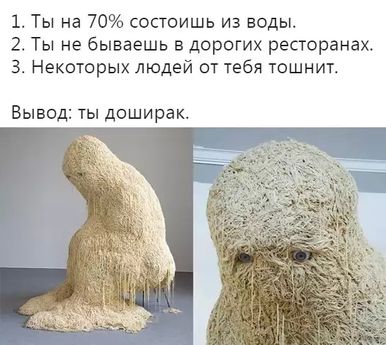 1 Ты на 70 состоишь из воды 2 Ты не бываешь в дорогих ресторанах З Некоторых людей от тебя тошнит Вывод ты доширак